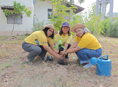 17 พฤษภาคม 2567 นางสาวสุพา ปิยะเขตร ... พารามิเตอร์รูปภาพ 3