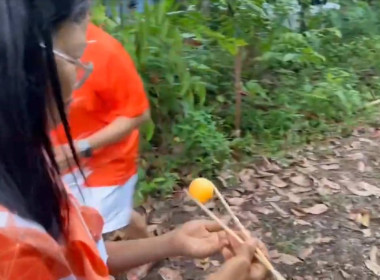 24 เมษายน 2568 นางสาวสุพา ปิยะเขตร ... พารามิเตอร์รูปภาพ 24