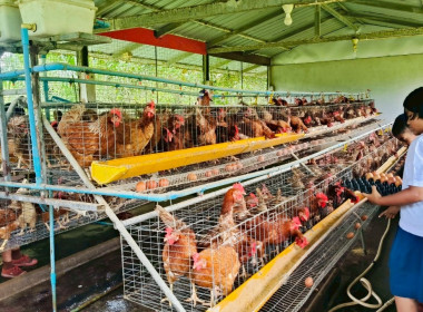 วันที่ 22 พฤษภาคม 2568 นางสาวสุพา ปิยะเขตร ... พารามิเตอร์รูปภาพ 11