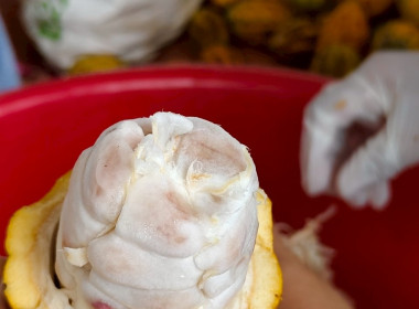 วันที่ 10 มิถุนายน 2568 นางสาวสุพา ปิยะเขตร ... พารามิเตอร์รูปภาพ 10