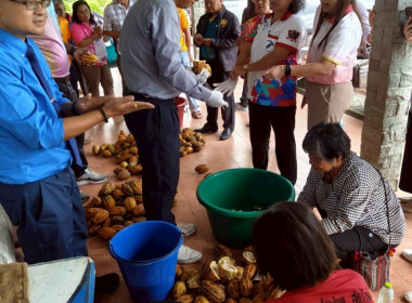 วันที่ 10 มิถุนายน 2568 นางสาวสุพา ปิยะเขตร ... พารามิเตอร์รูปภาพ 11