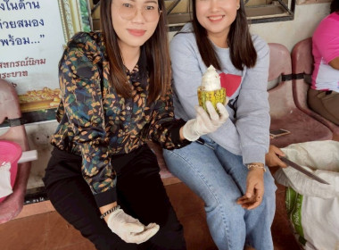 วันที่ 10 มิถุนายน 2568 นางสาวสุพา ปิยะเขตร ... พารามิเตอร์รูปภาพ 14