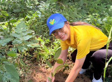 วันที่ 25 กรกฎาคม 2568 นางสาวสุพา ปิยะเขตร ... พารามิเตอร์รูปภาพ 12