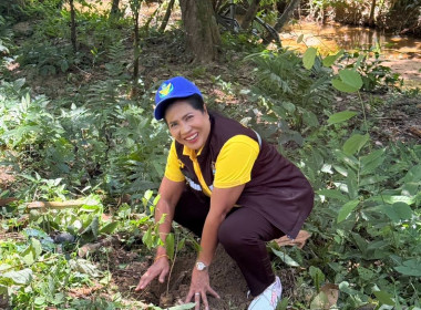 วันที่ 25 กรกฎาคม 2568 นางสาวสุพา ปิยะเขตร ... พารามิเตอร์รูปภาพ 13