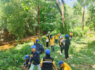 วันที่ 25 กรกฎาคม 2568 นางสาวสุพา ปิยะเขตร ... พารามิเตอร์รูปภาพ 14
