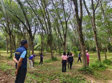 14 สิงหาคม 2568 นางสาวสุพา ปิยะเขตร ... พารามิเตอร์รูปภาพ 3