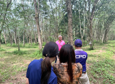 14 สิงหาคม 2568 นางสาวสุพา ปิยะเขตร ... พารามิเตอร์รูปภาพ 6