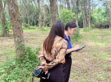 14 สิงหาคม 2568 นางสาวสุพา ปิยะเขตร ... พารามิเตอร์รูปภาพ 12