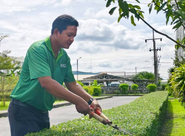 วันที่ 29 ตุลาคม 2568 ศูนย์ถ่ายทอดเทคโนโลยีการสหกรณ์ที่ 17 ... พารามิเตอร์รูปภาพ 14