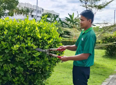 วันที่ 29 ตุลาคม 2568 ศูนย์ถ่ายทอดเทคโนโลยีการสหกรณ์ที่ 17 ... พารามิเตอร์รูปภาพ 15