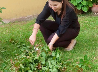 วันที่ 29 ตุลาคม 2568 ศูนย์ถ่ายทอดเทคโนโลยีการสหกรณ์ที่ 17 ... พารามิเตอร์รูปภาพ 21