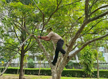 วันที่ 29 ตุลาคม 2568 ศูนย์ถ่ายทอดเทคโนโลยีการสหกรณ์ที่ 17 ... พารามิเตอร์รูปภาพ 24