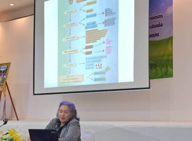 28 มกราคม 2569 : นางสาวสุพา ปิยะเขตร ... พารามิเตอร์รูปภาพ 17