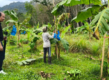 วันที่ 16-17 กุมภาพันธ์ 2569 นางสาวสุพา ปิยะเขตร ... พารามิเตอร์รูปภาพ 11