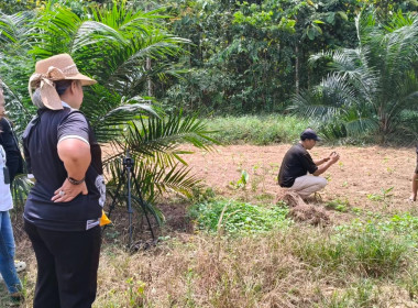 วันที่ 16-17 กุมภาพันธ์ 2569 นางสาวสุพา ปิยะเขตร ... พารามิเตอร์รูปภาพ 18