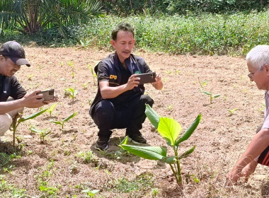 วันที่ 16-17 กุมภาพันธ์ 2569 นางสาวสุพา ปิยะเขตร ... พารามิเตอร์รูปภาพ 19