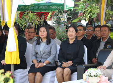 26 กุมภาพันธ์ 2569 นางสาวสุพา ปิยะเขตร ... พารามิเตอร์รูปภาพ 4