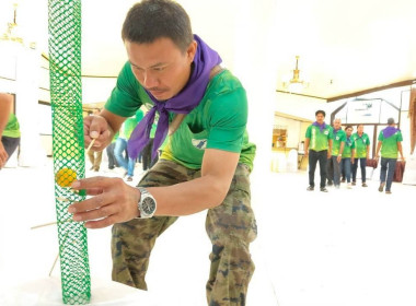 10 พฤษภาคม 2569 นางสาวสุพา ปิยะเขตร ... พารามิเตอร์รูปภาพ 13