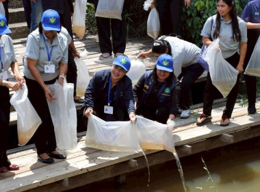 วันที่ 10 กรกฎาคม 2569 นางสาวสุพา ปิยะเขตร ... พารามิเตอร์รูปภาพ 20